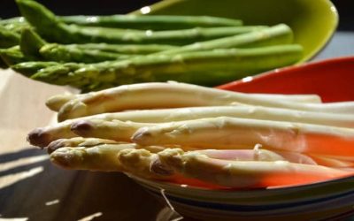 Espárragos blancos vs. verdes : découvrez leurs différences pour choisir lequel savourer !