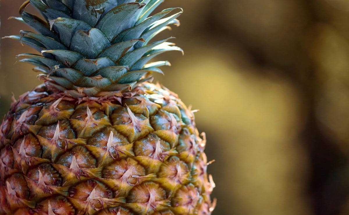 Ananas au sirop