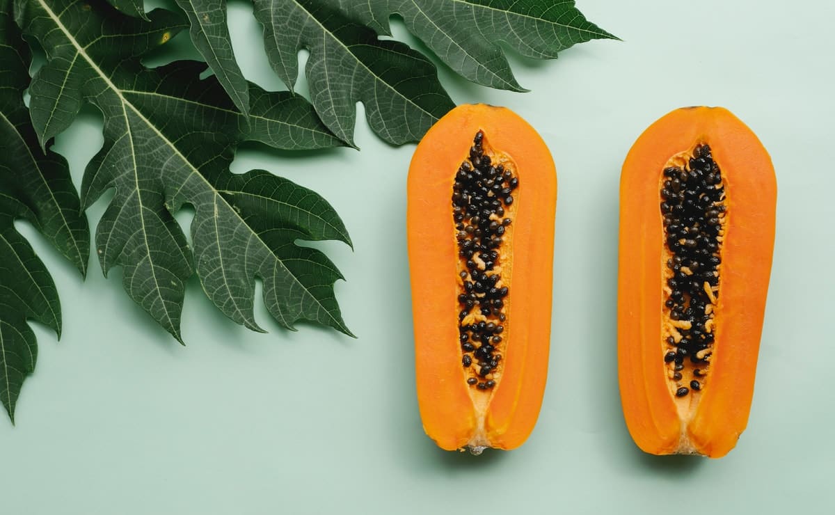 comment un papayer porte ses fruits
