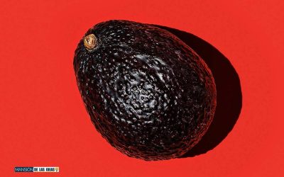 Découvrez comment conserver parfaitement votre avocat ouvert pour préserver ses propriétés ! 💚🥑
