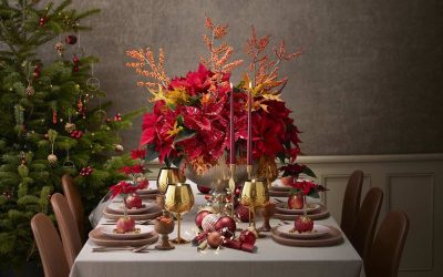 Décoration de Noël digne d’un magazine : La plante parfaite pour sublimer votre maison pendant les Fêtes ! 🎄✨