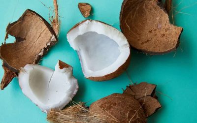 Découvrez les 11 incroyables bienfaits ajoutés en intégrant la graine de coco à votre alimentation quotidienne !