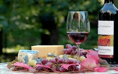 Découvrez 8 délicieux vins rouges à déguster selon vos plats favoris !