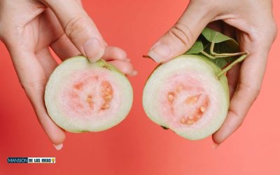 Découvrez ces 3 Batidos irrésistibles à la guayaba, parfaitement combinés avec ces fruits de saison !