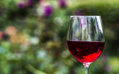 Découvrez la substance qui prône la consommation modérée de vin rouge pour une meilleure santé ! 🍷✨