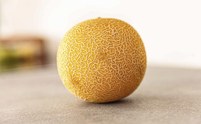 Comment choisir un melon