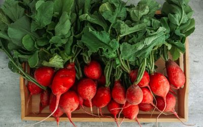 La vérité sur le mystère du radis : Fruits ou légume, découvrez enfin la réponse surprenante ! 🌱🍎