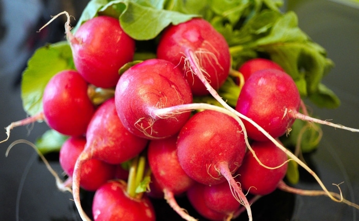 un bouquet de radis rouges