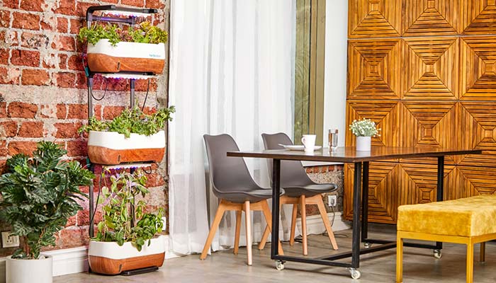 Terrasse dans le coin repas