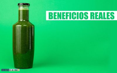 Découvre les incroyables bienfaits du jus de céleri à jeun ! Booste ta santé avec cette boisson miracle !