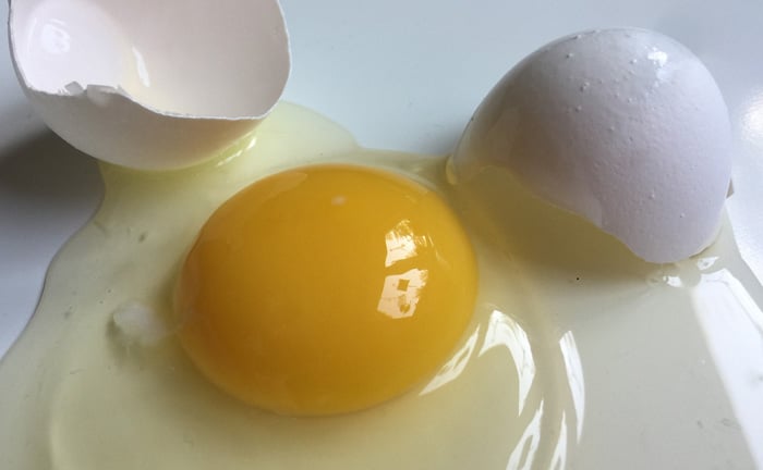 Le blanc d’œuf, l’ingrédient secret du Pisco Sour