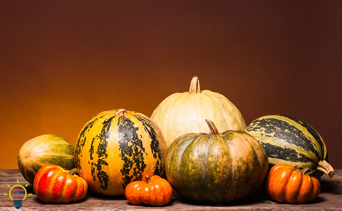 types de citrouilles