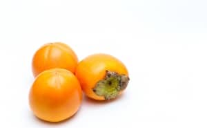 kaki