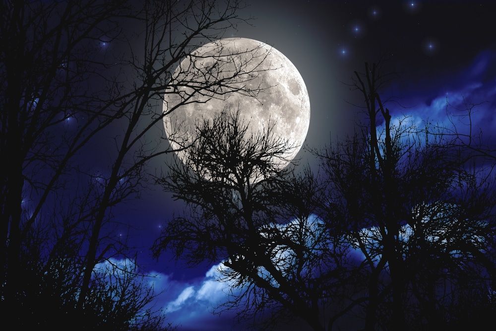 Horoscope 2024 : Ces 3 signes astrologiques qui vont avoir une très belle surprise avant la pleine lune du 25 mars ! Un renouveau plein de promesses