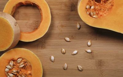 Découvre toutes les incroyables utilisations des graines de citrouille en cuisine !