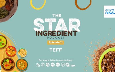 Découvrez comment cet entrepreneur éthiopien lutte contre la biopiraterie en relançant la culture du teff, un héritage ancestral à préserver !