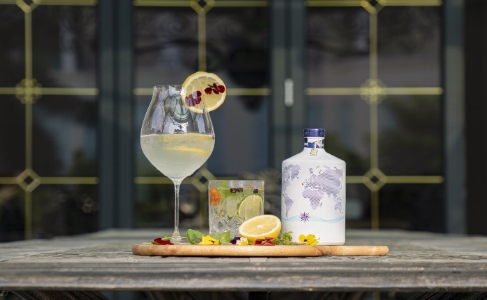 bonnes choses à propos du gin