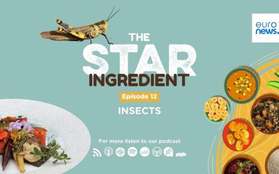 Podcast Ingrédient Star | Les insectes comestibles, la nourriture du futur ?