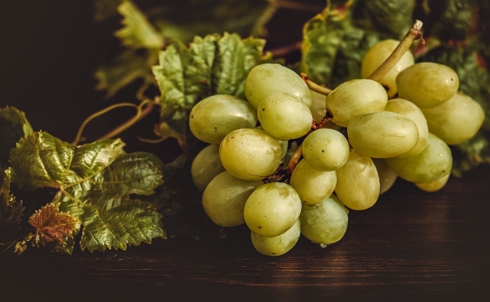grappe de raisin blanc