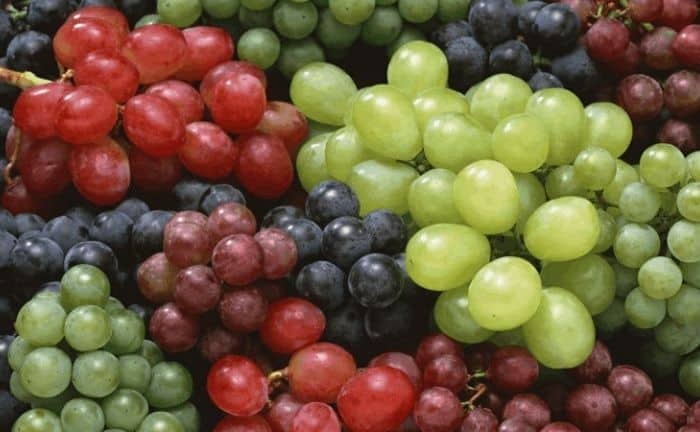 grappes de raisin