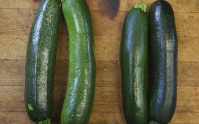 Nouvelle étude française : un jeune sur cinq ne sait pas reconnaître une courgette ! Découvrez cette étonnante révélation qui va vous surprendre !