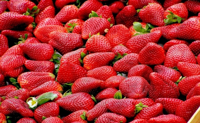 un grand nombre de fraises