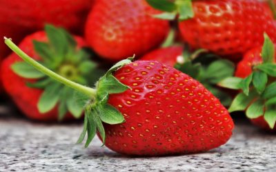 Découvrez la véritable différence entre le fresón et la fraise ! Voici comment les distinguer facilement.