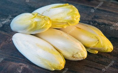 Découvrez pourquoi vous devriez absolument ajouter l’endive à votre menu alimentaire ! 🥗💪