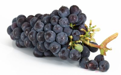 Uvas : découvrez les incroyables bienfaits et valeurs nutritionnelles de ce fruit incontournable du réveillon !