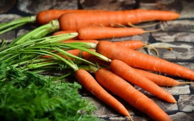 Découvre les conséquences inattendues d’une consommation excessive de carottes sur ta santé !