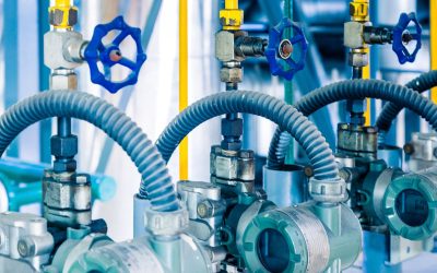 Découvrez les incroyables usages que les biorefineries donnent aux carottes, vous ne le croirez pas !