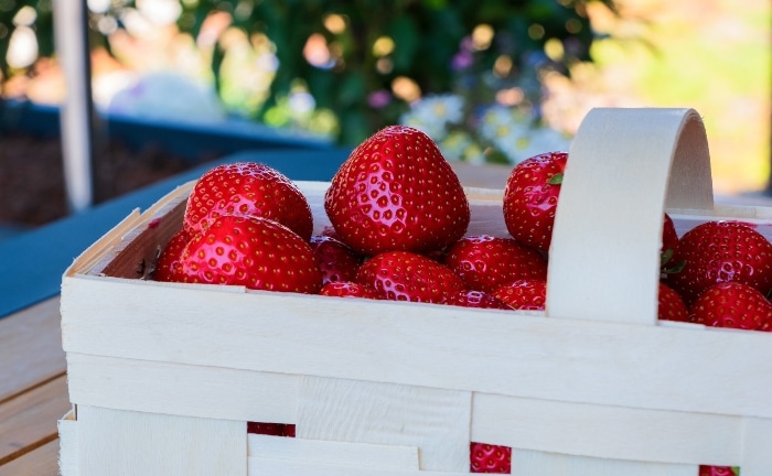 panier de fraises