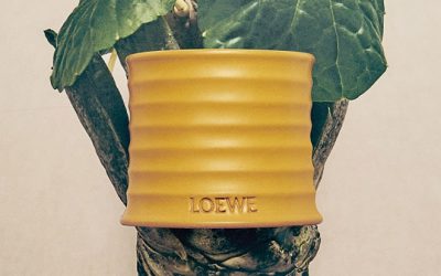 LOEWE dévoile un parfum d’intérieur vraiment… surprenant !