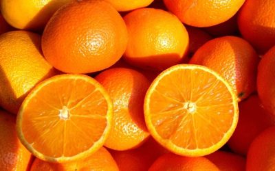 Attention ! Découvrez les conséquences étonnantes de la consommation excessive d’oranges sur votre corps !