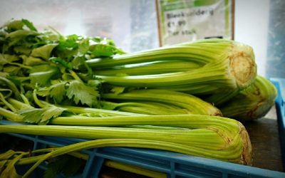 Découvre les conséquences surprenantes de manger du céleri tous les jours – Les inconvénients d’une consommation excessive !
