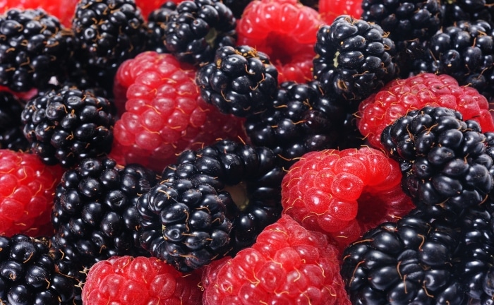 mûres et framboises