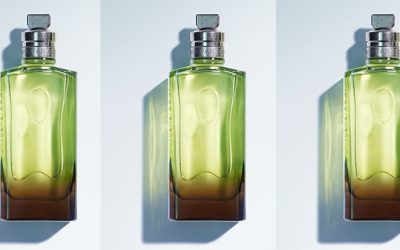 Découvrez l’Énigmatique Mystic Moss de Dries Van Noten : Une Odyssée Inattendue