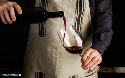 Découvrez les secrets du vin chez vous : Les étapes incontournables d’une dégustation !