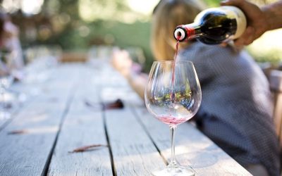 Découvrez les vins les plus rares aux saveurs incroyablement uniques et surprenantes !