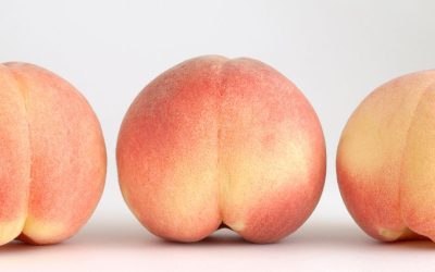 Découvrez l’exposition nudiste en France qui va vous déshabiller !