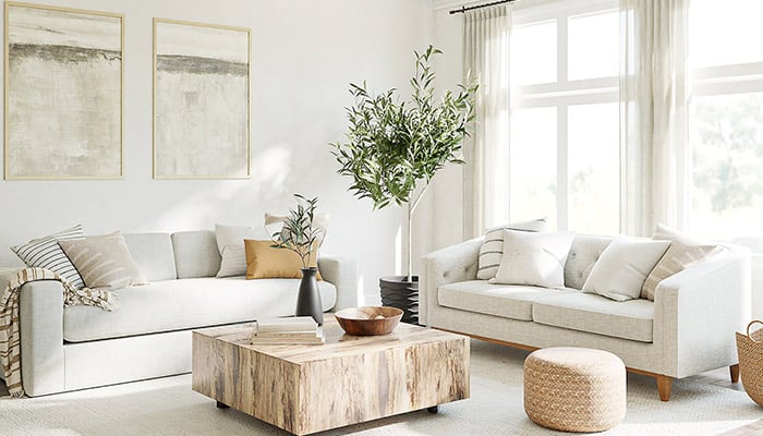 le salon est décoré en blanc