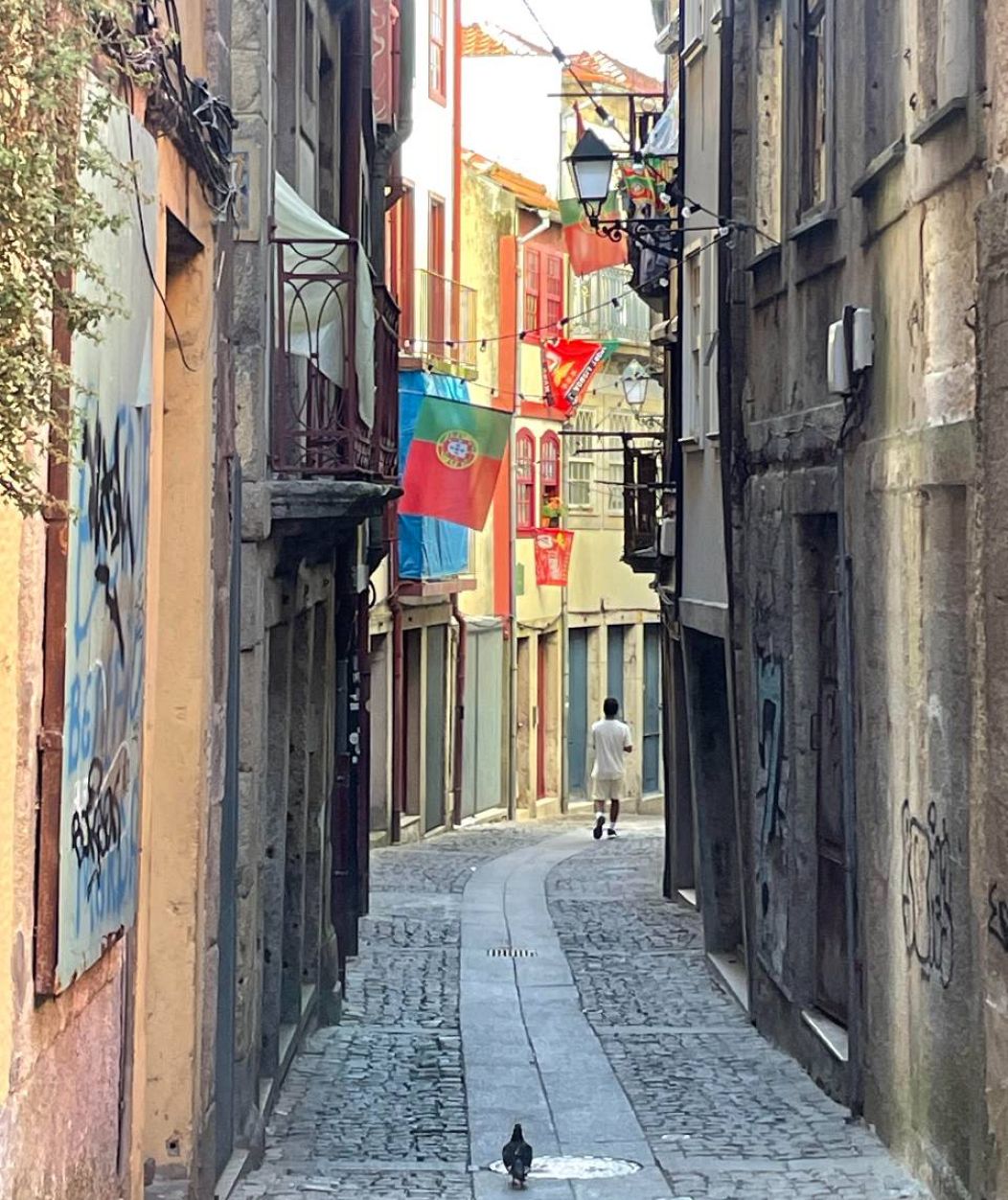 Rue sinueuse dans le quartier Ribeira de Porto, juillet 2024
