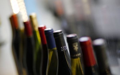 À votre santé ! L’avenir du vin britannique semble prometteur – mais pourra-t-il rivaliser avec les géants européens ?