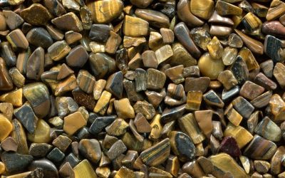 Découvrez où placer l’œil de tigre chez vous pour booster votre créativité !
