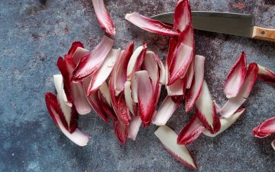 Découvrez la saison des endives : quand les déguster pour un maximum de saveurs !