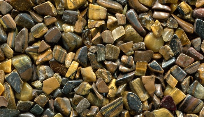 Signification de l’œil du tigre