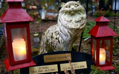 Adieu les Animaux de Compagnie : Découvrez l’Étonnante Histoire des Cimetières pour Animaux en Europe !
## Plongée dans un Univers Inattendu : Les Cimetières pour Animaux en Europe !