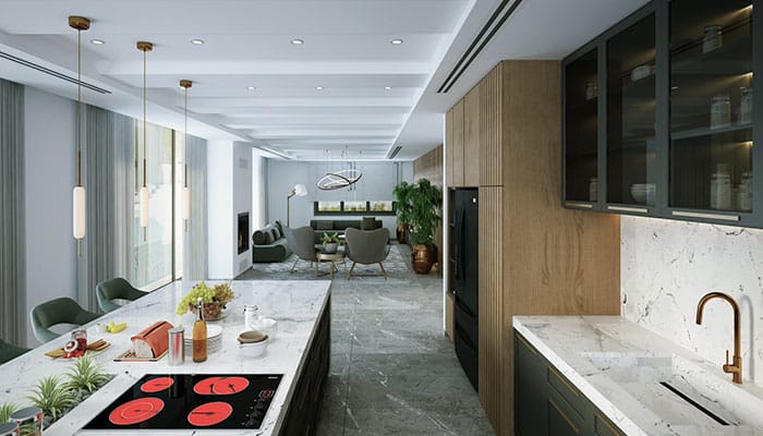cuisine intégrée salon