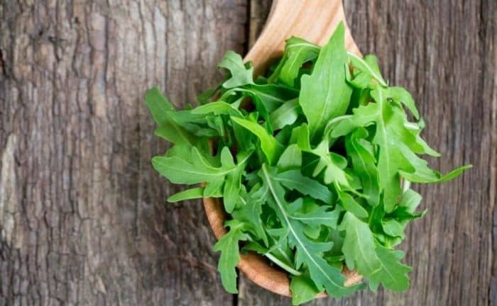 roquette dans une cuillère