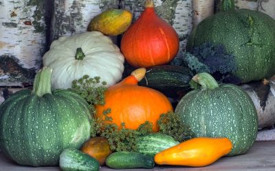 Calabacín vs Calabaza : Découvrez les différences surprenantes qui vont vous étonner !